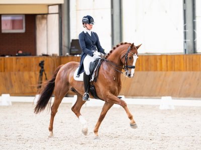 Gavaristo en Margot naar finale Roelofsen Horsetruck cup tijdens Indoor Friesland.