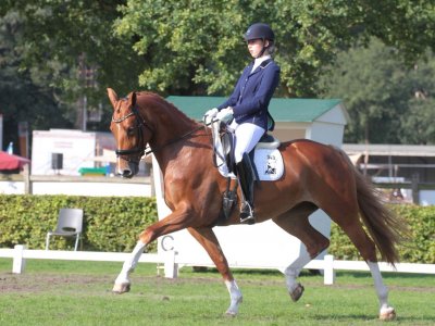 Happy en Margot naar finale DCIG 