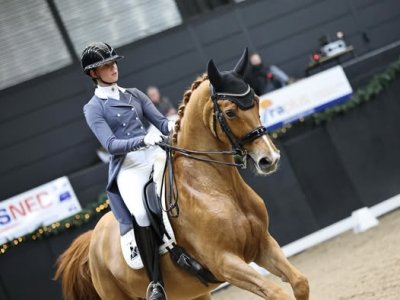 Happy en Margot sluiten 2025 af met een mooie score van 70,5% in de Grandprix-Freestyle tijdens IICH Groningen