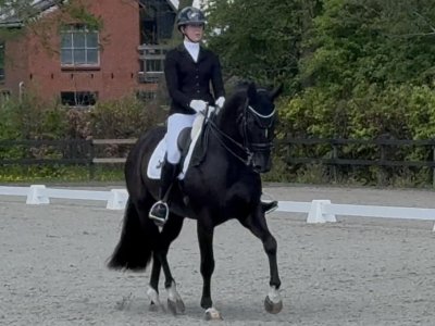 Joost en Margot fraai Z2-debuut in Tolbert