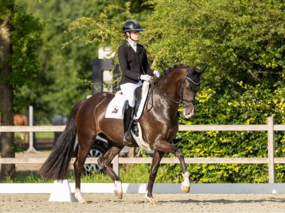 Mi Merle WK reserve kampioen van Groningen in het ZZ-Licht!