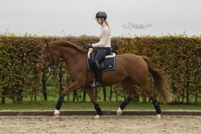 Merengue V E R K O C H T