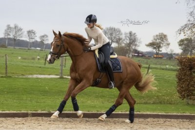 Merengue V E R K O C H T