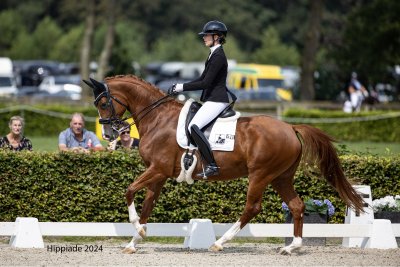 Merengue V E R K O C H T