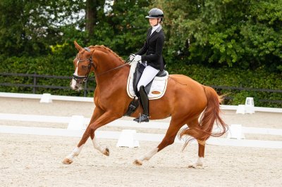 Merengue V E R K O C H T