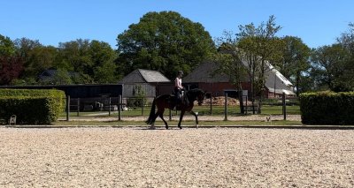 Felix V E R K O C H T