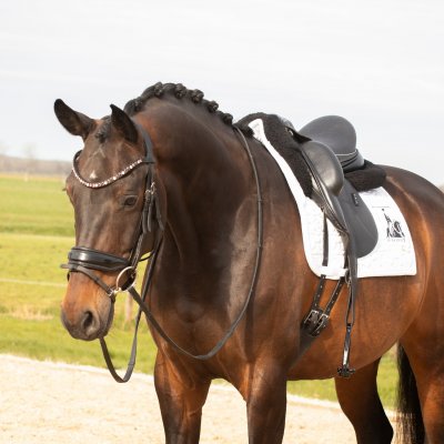 La vie en Rose  STB ELITE