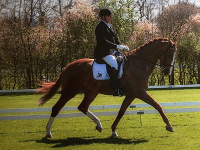 Arpad en Gerard naar tweede prijs op Laarwoudconcours