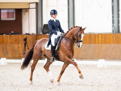 Gavaristo aan kop in de Prix St George in Exloo