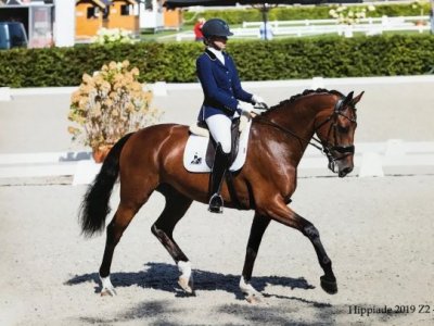 His Wish verkocht