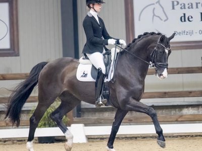 JohnJeffrey Johanson en Margot kampioen Z1 Regio Groningen