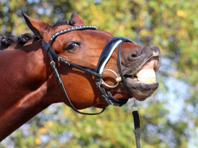 Margot beide selectierubrieken aan de leiding