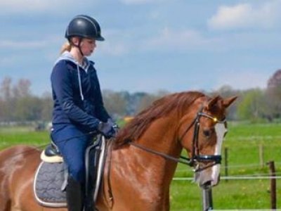 Margot met haar Paarden succesvol