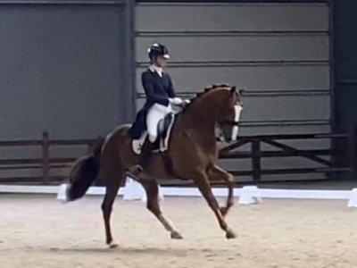 Mooi PSG debuut tijdens indoor Tolbert