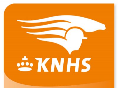 Odilia verzorgt weer JSP-trainingen voor de KNHS Regio Groningen