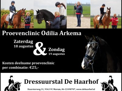 Opgeven voor Proevenclinic 18 en 19 augustus