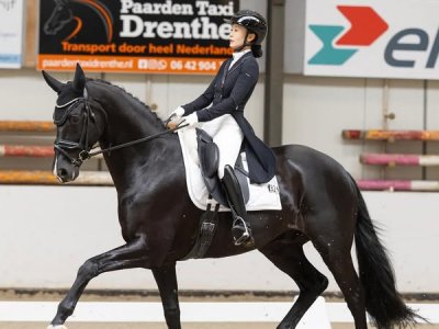 Polartwister in Quarantaine