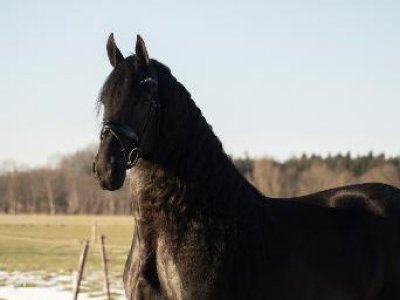 Sytske fan Meren-state naar 1ste winstpunt in de Z1