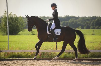 Joost